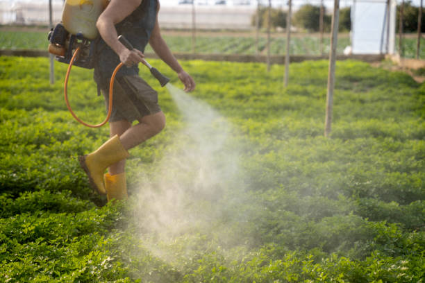 Best Pest Inspection Near Me  in Somerset, TX
