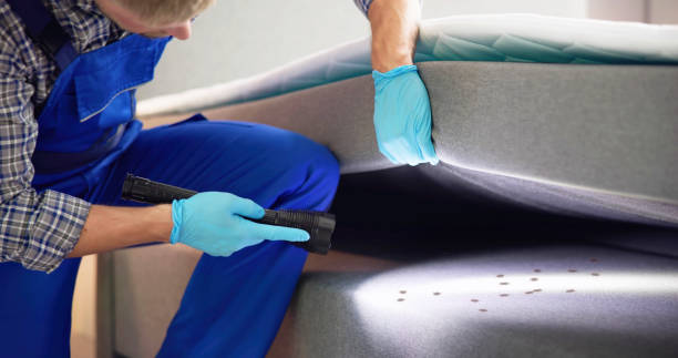 Best Best Pest Control Companies  in Somerset, TX