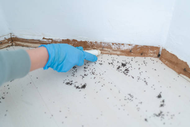 Best Exterminator Services  in Somerset, TX