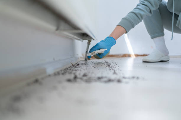 Best Pest Removal Services  in Somerset, TX