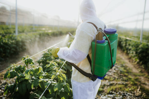 Best Wildlife Control Services  in Somerset, TX